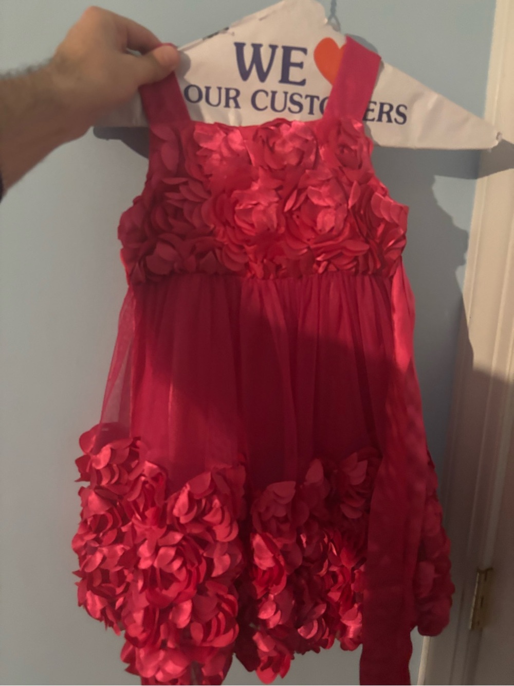 Iris & ivy dress 4t